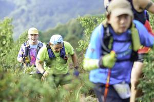 BIB: 
                            <button type="button" onclick="openModal(24764387)" class="btn btn-primary btn-sm float-right btn-popup" data-toggle="modal" data-target=".modal-high-quality">
                        <i class="fas fa-shopping-cart"></i> Add to Cart
                    </button>
                                            <button type="button" onclick="isThisMe(24764387, true)" class="btn btn-success btn-sm float-right btn-popup btn-isme hidden" data-toggle="tooltip" data-placement="bottom" title="นี่คือรูปของคุณใช่ไหม คลิกที่นี่เพื่อเอาเข้าอัลบั้ม">
                        <i class="fas fa-plus"></i> Add to album
                    </button>
                    <button type="button" onclick="isThisMe(24764387, false)" class="btn btn-warning btn-sm float-right btn-popup btn-isnotme hidden">
                        <i class="fas fa-ban"></i> Remove from album
                    </button>